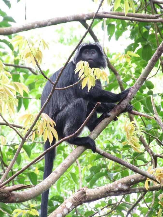 Vanilla Garden Tetebatu Eksteriør bilde